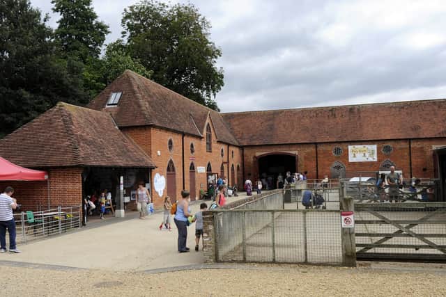 Staunton Farm is home to a wide variety of animals – from pigs, sheep, goats and chickens to llamas and alpacas.