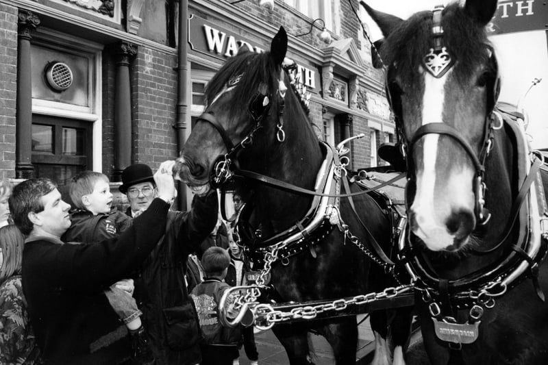 Jim Harris and his son Daniel (3) grandson of the landlord of the Graham Arms Fratton, making friends with Shire horses who pulled the Wadworth Brewery dray through Portsmouth, 1993. The News PP5487