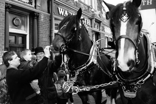 Jim Harris and his son Daniel (3) grandson of the landlord of the Graham Arms Fratton, making friends with Shire horses who pulled the Wadworth Brewery dray through Portsmouth, 1993. The News PP5487