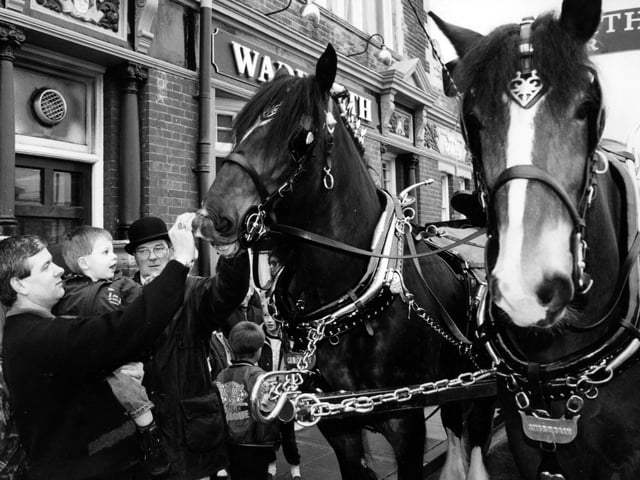 Jim Harris and his son Daniel (3) grandson of the landlord of the Graham Arms Fratton, making friends with Shire horses who pulled the Wadworth Brewery dray through Portsmouth, 1993. The News PP5487
