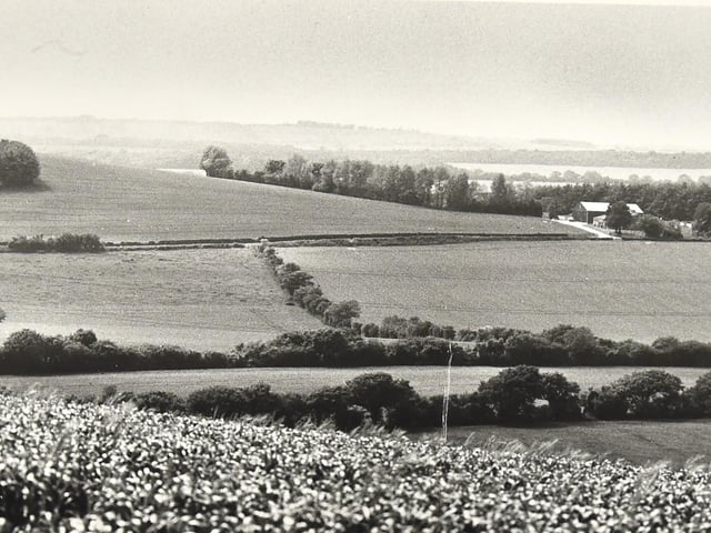 A view of the Clanfield Reservoir towards Broadhalfpenny Down (left) and The Bat and Ball. Picture: (2366-2)