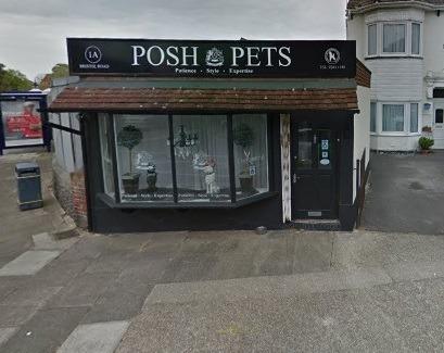 Posh Pets has received a Google rating of 4.1 with 23 reviews.
