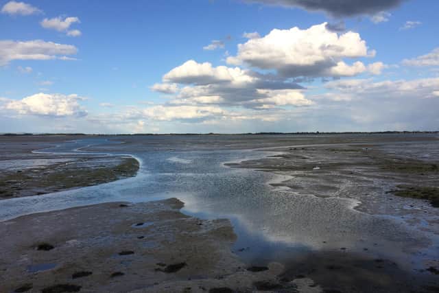 Fears were raised by Natural England that the Solent was being damaged by nitrogen in runoff and wastewater.
Pictured: Looking across Langstone Harbour to Hayling Island at low tide by Robert Pragnell
