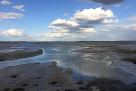 Fears were raised by Natural England that the Solent was being damaged by nitrogen in runoff and wastewater.
Pictured: Looking across Langstone Harbour to Hayling Island at low tide by Robert Pragnell