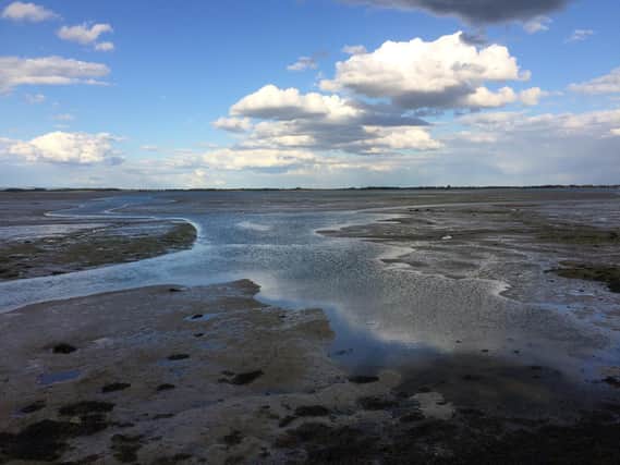 Fears were raised by Natural England that the Solent was being damaged by nitrogen in runoff and wastewater.
Pictured: Looking across Langstone Harbour to Hayling Island at low tide by Robert Pragnell