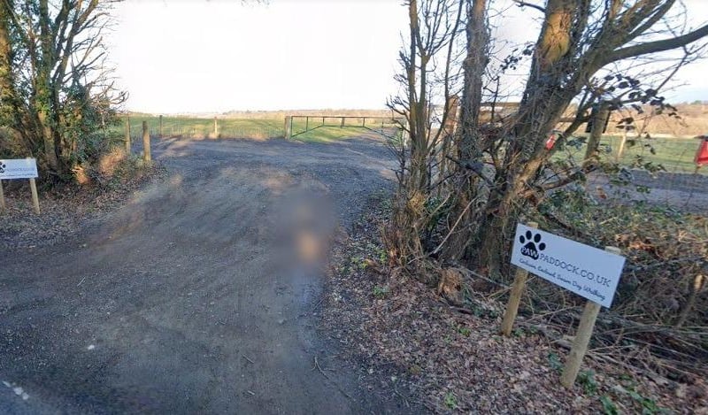 Paw Paddock, Wickham, is another site from the dog company where dog owners can rest easy whilst their dogs enjoy some time to have a run about.