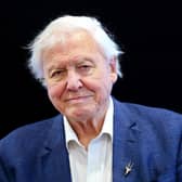 Sir David Attenborough. Picture: Victoria Jones/PA Wire
