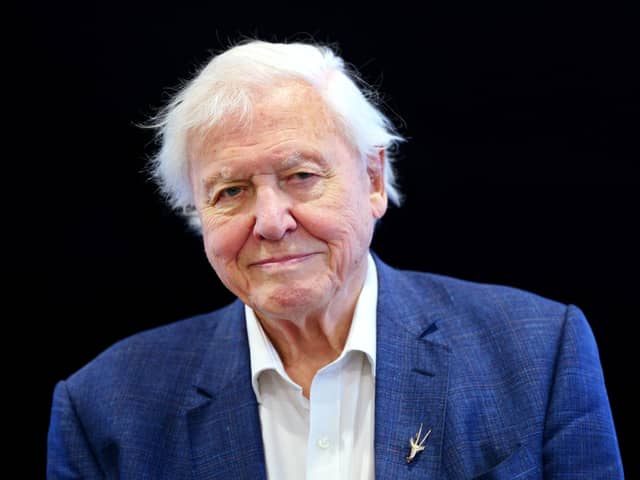 Sir David Attenborough. Picture: Victoria Jones/PA Wire