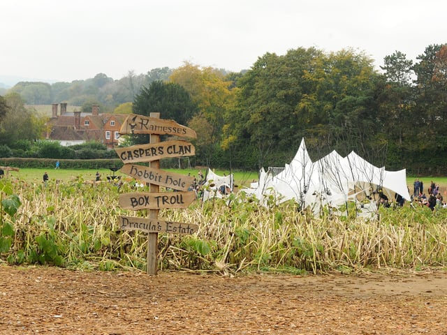 Spooky fun at the pumpkin patch
Picture: Sarah Standing (251023-2190)