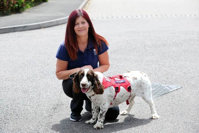 Kerry Snuggs from Titchfield Common, has been chosen as a baton bearer for the Queen's Baton Relay 2022 on Wednesday, July 6, in Portsmouth. She is pictured with her Springer Spaniel cross with Bassett Hound Bert, nine
Picture: Sarah Standing (300622-7340)