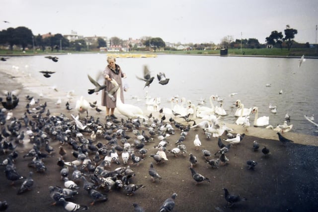 Feeding the birds at Canoe Lake, Southsea, in June 1995.

