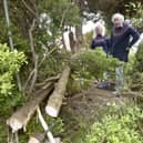David Llewellyn (76) and his wife Dale (71) from Cherry Tree Avenue, Cowplain, are shocked after someone cut down one of their trees in their front garden on Wednesday, April 26, 2023. Picture: Sarah Standing (270423-2596)