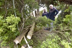 David Llewellyn (76) and his wife Dale (71) from Cherry Tree Avenue, Cowplain, are shocked after someone cut down one of their trees in their front garden on Wednesday, April 26, 2023. Picture: Sarah Standing (270423-2596)