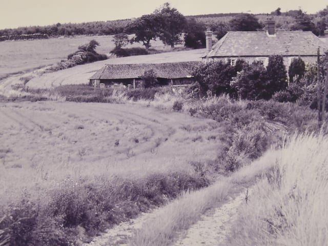 Colworth Barn Cottages near Colworth Farm, West Sussex in 1993. Picture: (1029-2)