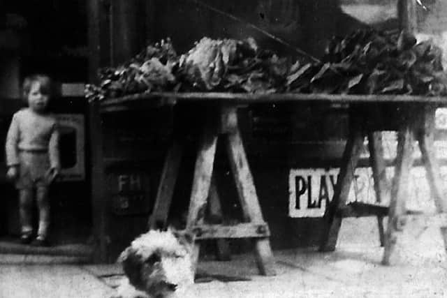 A grocer's shop in Agincourt Road, Buckland, Portsmouth, in 1929 with a trestle table loaded with vegetables and a dog on guard.