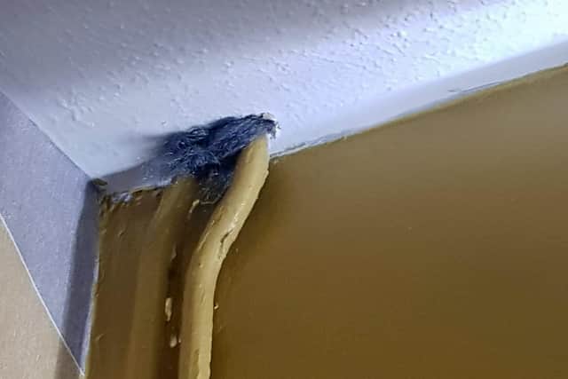A temporary measure put in by Lauren to try to stop the mice. Picture Lauren Clark