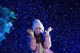 A magical scene at Marwell Zoo