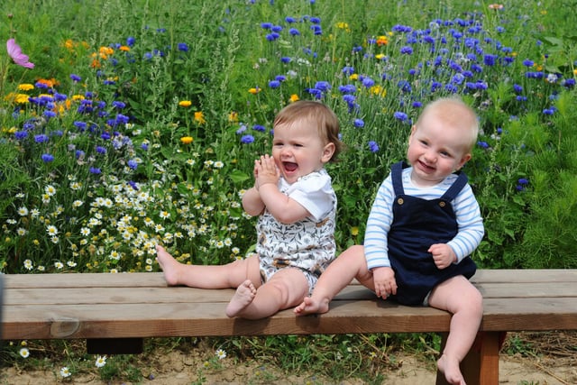 Sam's Sunflowers in Hayling Island, on Sunday, August 4, 2024.

Pictured is: Cousins Ava Hursen (10 months old) from Southsea, and Hudson Giles (10 and a half months old) from Copnor.

Picture: Sarah Standing (040824-3867)