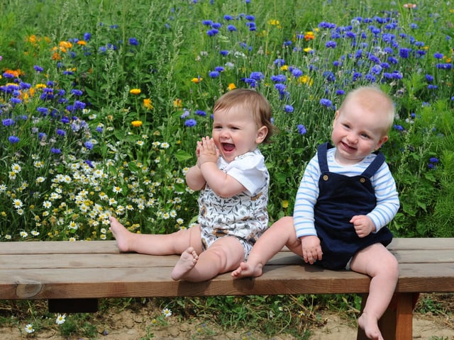 Sam's Sunflowers in Hayling Island, on Sunday, August 4, 2024.Pictured is: Cousins Ava Hursen (10 months old) from Southsea, and Hudson Giles (10 and a half months old) from Copnor.Picture: Sarah Standing (040824-3867)
