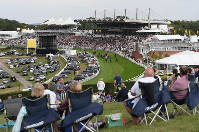 Spectators enjoying the view of Glorious Goodwood from the Trundle Hill area. Photo by Mike Hewitt/Getty Images.