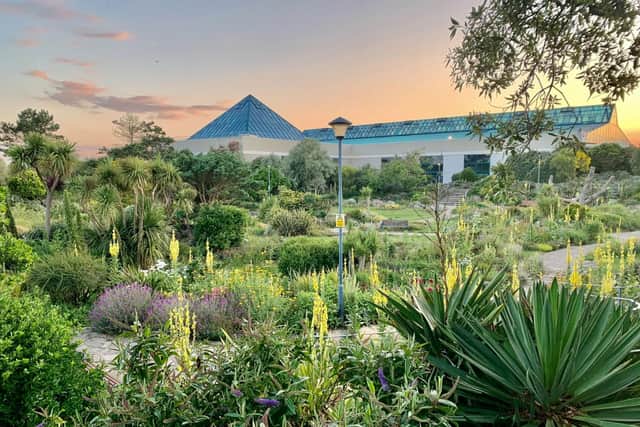 The Southsea Rock Gardens provide a little oasis of calm along the seafront and is the perfect place for a put stop during a seaside stroll.