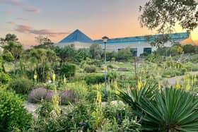 The Southsea Rock Gardens provide a little oasis of calm along the seafront and is the perfect place for a put stop during a seaside stroll.