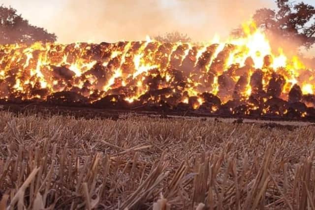 Fire service deals with nine times more outdoor fires in first two weeks of August compared to last year. Pic Hants fire