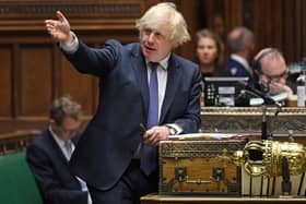 Boris Johnson stunned the cricketing world by describing the ball as a 'natural vector of disease.'  Photo by Jessica Taylor/AFP via Getty Images.
