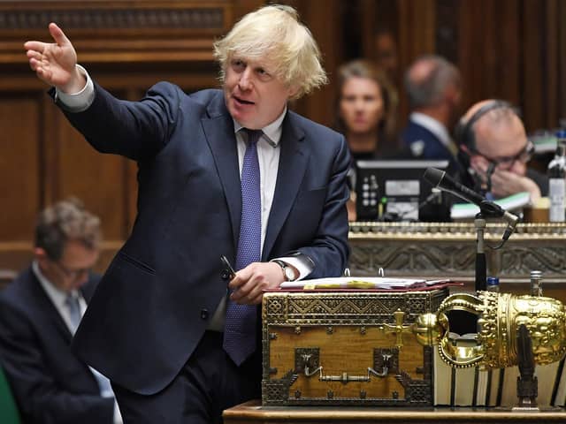 Boris Johnson stunned the cricketing world by describing the ball as a 'natural vector of disease.'  Photo by Jessica Taylor/AFP via Getty Images.