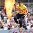 Marchant de Lange of Trent Rockets celebrates after dismissing Southern Brave's Colin de Grandhomme. Photo by Shaun Botterill/Getty Images