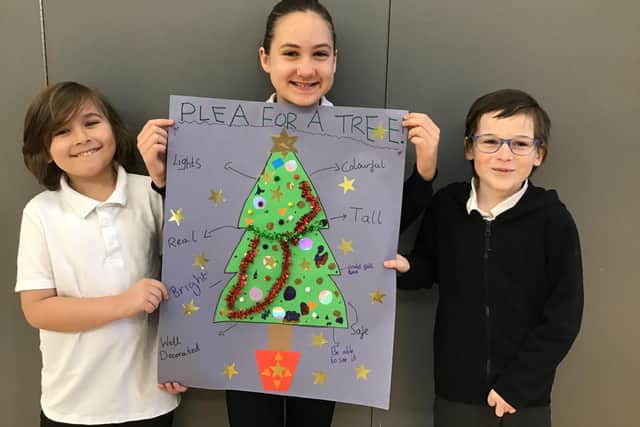 Oliver Jackson, 9, Briana Bildea, 10, and Alfie Valentine, 9, with their Plea for a Tree poster.