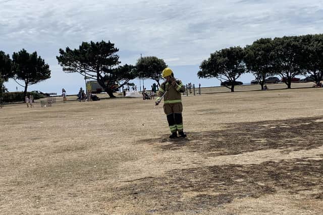 A firefighter from Southsea inspects the damage to grassland at Canoe Lake. Photo: Colin Farmery