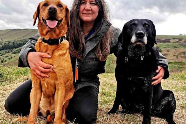 Rachel Bean is giving this advice to Portsmouth dog owners - Animal News Agency