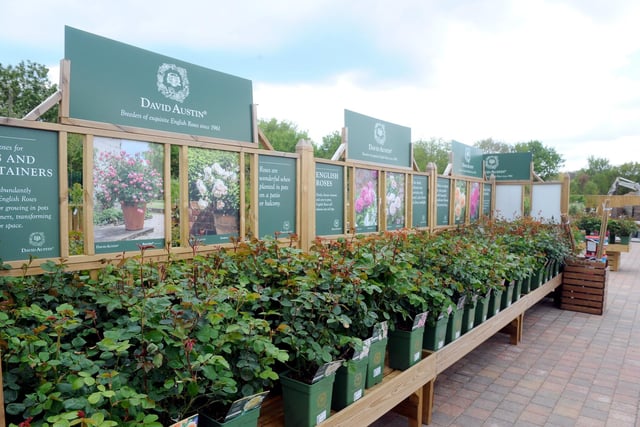 These are the best garden centre in the Portsmouth area, according to Google. Picture: Sarah Standing (260422-2428)