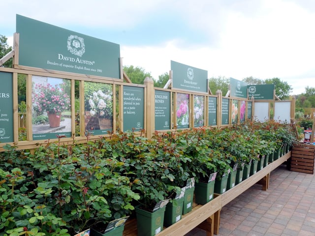These are the best garden centre in the Portsmouth area, according to Google. Picture: Sarah Standing (260422-2428)