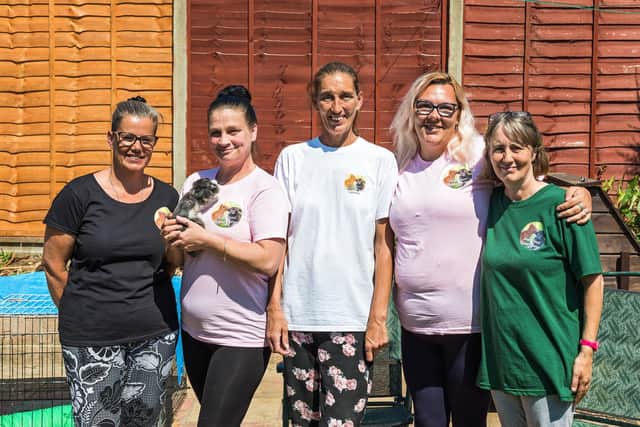 Part of the team at South Coast Rabbit Rescue centre: Caz Taylor (45), Michelle Lawson (46) with Duke, Vanessa Taylor (45), Louise Sheehan (54) and Kim Bray (33). Picture: Mike Cooter (200721)
