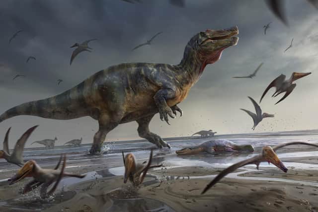 An artist impression issued by University of Southampton of a White Rock spinosaurid. The remains of Europe's largest ever land-based hunter which measured more than 10 metres long and lived 125 million years ago have been found on the Isle of Wight. Picture: Anthony Hutchings/University of Southampton/PA