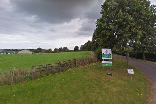 Laverstoke Park Farm will be hosting the CarFest this year and it will be taking place between August 22 and 25. Olly Murs, Scouting for Girls and many more will be performing at the festival and for more information, visit the website.