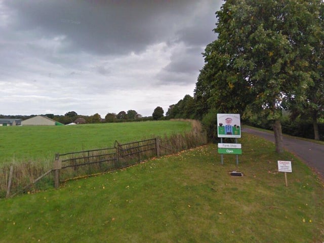Laverstoke Park Farm will be hosting the CarFest this year and it will be taking place between August 22 and 25. Olly Murs, Scouting for Girls and many more will be performing at the festival and for more information, visit the website.