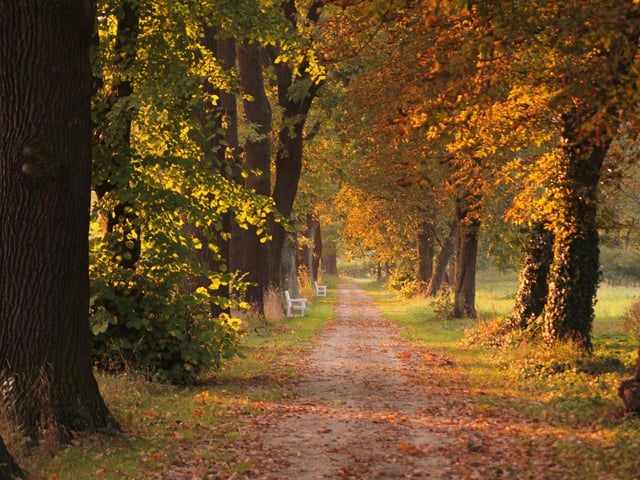 The Nottinghamshire term Backend weather means autumnal weather.