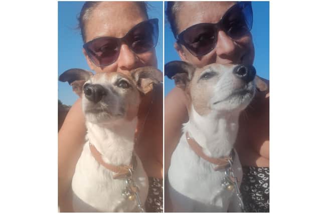Pet owners have shared videos of their dogs shaking after being spooked by fireworks. Pictured: Cath Dale with the dog she cares for, Buddy, who is very scared of loud bangs