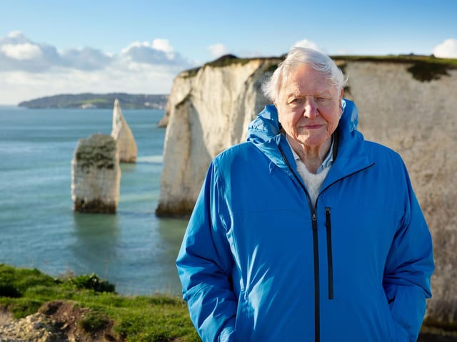 Through this breathtaking film, Attenborough shares why a healthy ocean keeps the entire planet stable and flourishing