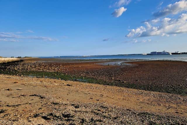 Three women, seen picking shellfish on a beach near Hamble Point Marina on the morning of June 20, were arrested for immigration offences. Picture: Hedge End Police.