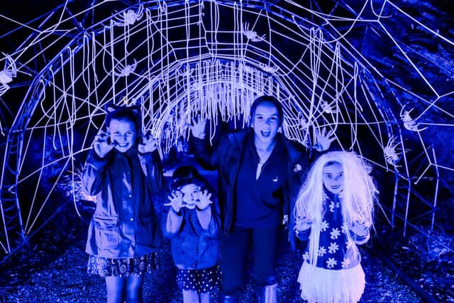 Halloween at Moors Valley runs from 23rd October to 2nd November