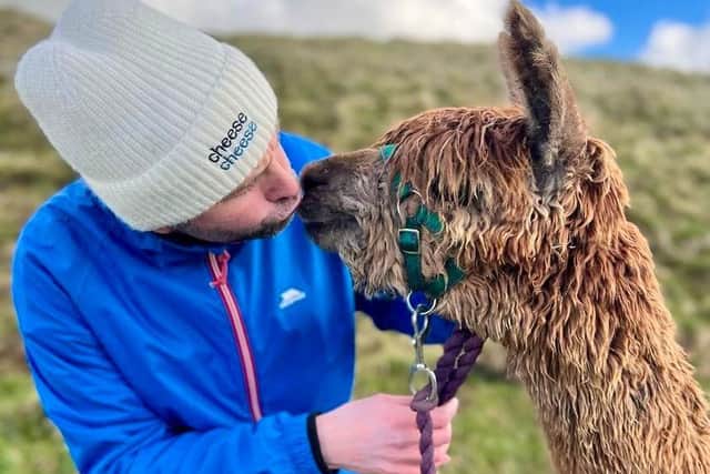 Portsmouth author Ben Aitken gets to know alpaca Arnie during his tour of the UK