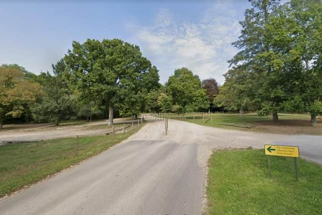 The illegal activity took place on the Beaulieu Estate, in the New Forest. Picture: Google Street View.