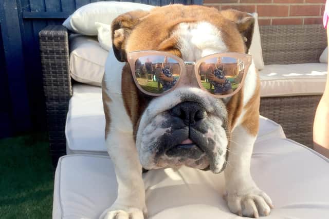 This picture of Ralph in his sunglasses came third in One Summer's Day 2018


Picture: Mike Paddock