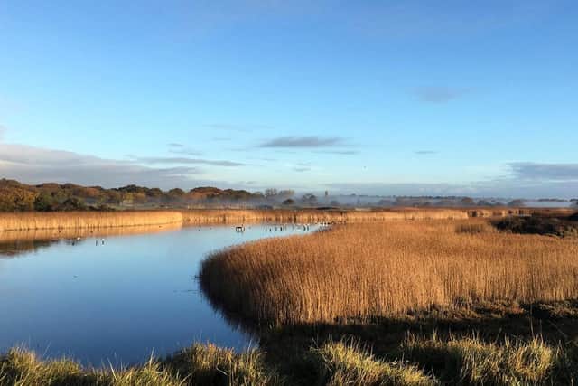 Lovely view this morning at Titchfield Haven National Nature Reserve, Hill Head, taken by Colin Grice. Looks like a great place to take a stroll.
