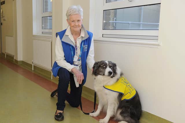 Frankie North with Clara the therapy dog on their rounds of Queen Alexandra Hospital.
Picture: Habibur Rahman