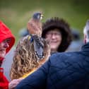 Families braved the cold on Tuesday (April 2) to take advantage of amazing free entertainment at Fort Nelson, with Easter egg hunts and falconry displays.